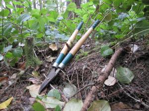 Cloppers Cloppers in the woods