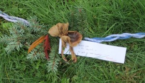 haiku by Katherine Munro