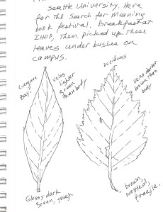 Leaves from a trip to Seattle